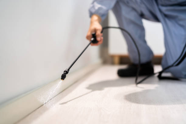 Licensed Ant Control service in DeLisle, MS - Show Me Pest Control