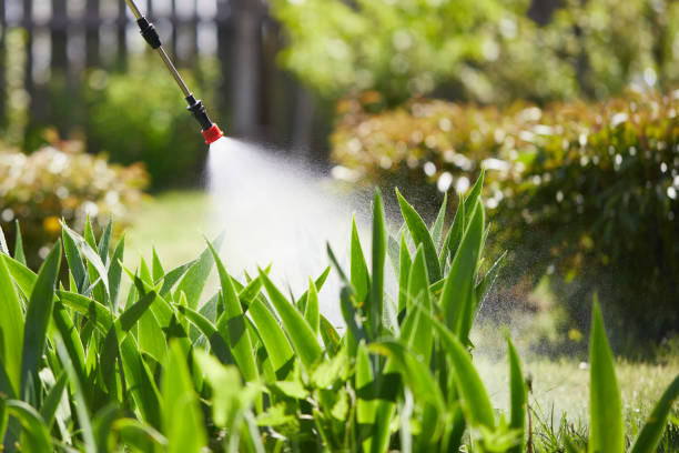 24/7 Emergency Ant Control experts in DeLisle, MS