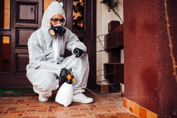 Reliable Ant Control contractor in DeLisle, MS by Show Me Pest Control